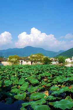 黄山宏村西递旅游_宏村 旅游收入(2)