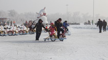 天津武清南湖冰雪世界门票