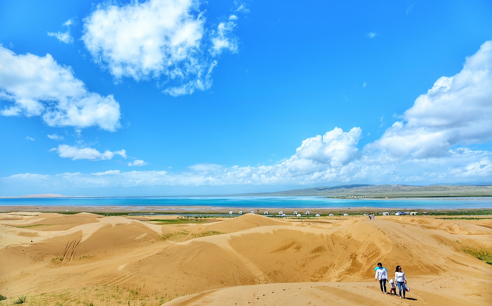 青海湖沙岛         