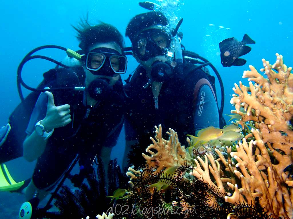 【醉美深潜点】菲律宾长滩岛潜水(全面镜深潜 中文教练 拍照)