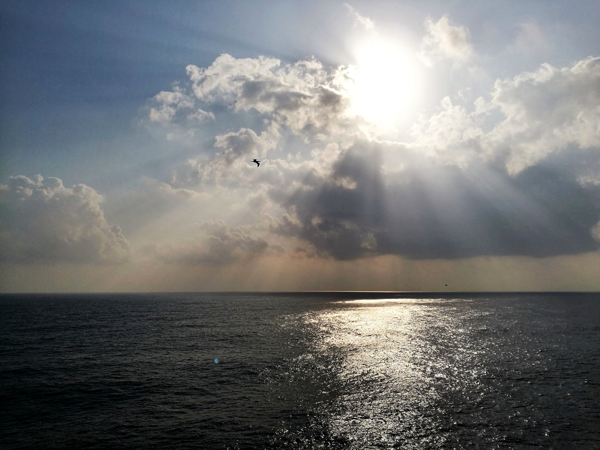 越南最新游记,越南自助游游记,越南旅游最新游记 - 蚂蜂窝