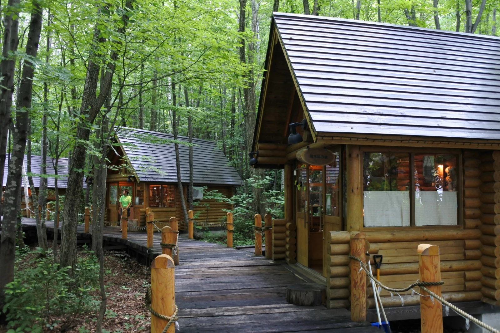 日本北海道富良野游之十一 童话里的森林小屋_游记