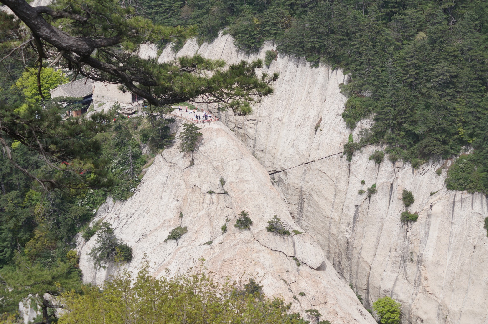 西峰总人口_华山西峰(2)