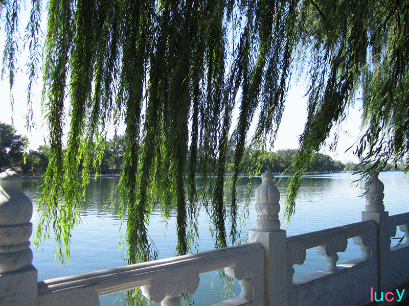 壁纸 风景 摄影 桌面 800_599 gif 动态图 动图