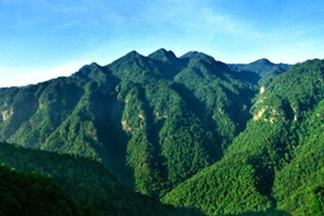 地址:井冈山市井冈山风景区主峰34         张