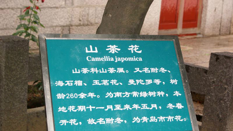 名什么什么迹的成语_成语故事简笔画(3)