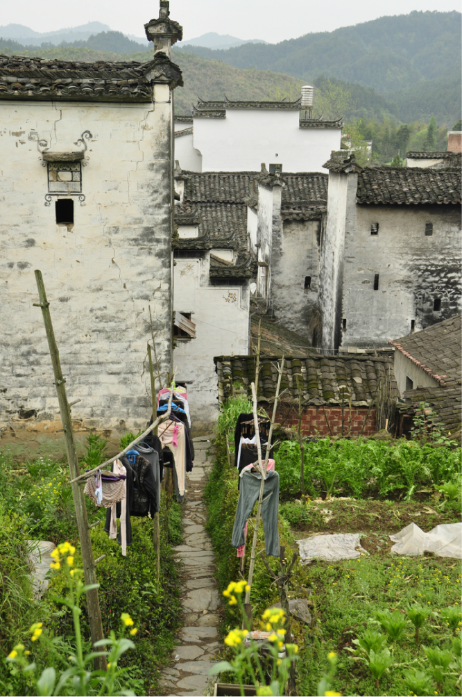 景德镇2020年一季度G_景德镇陶瓷(3)