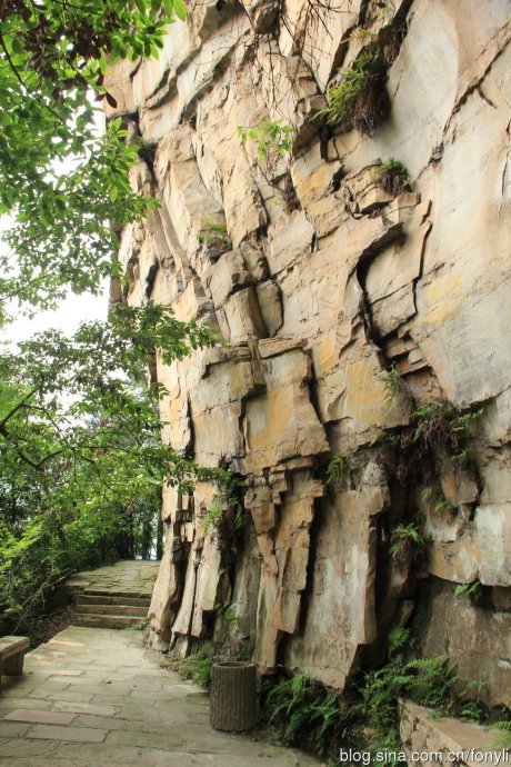 鱼虎云一猜一成语大全_一图一成语猜答案大全