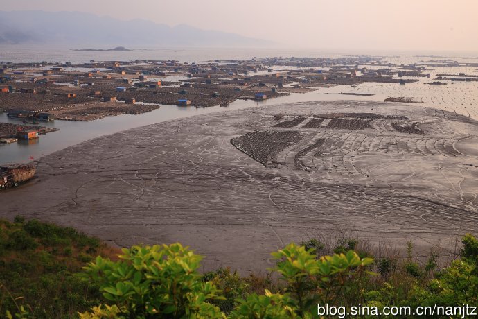 霞浦东安岛跟关门有多少人口_上海浦东机场图片