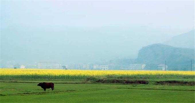 衡东旅游图片