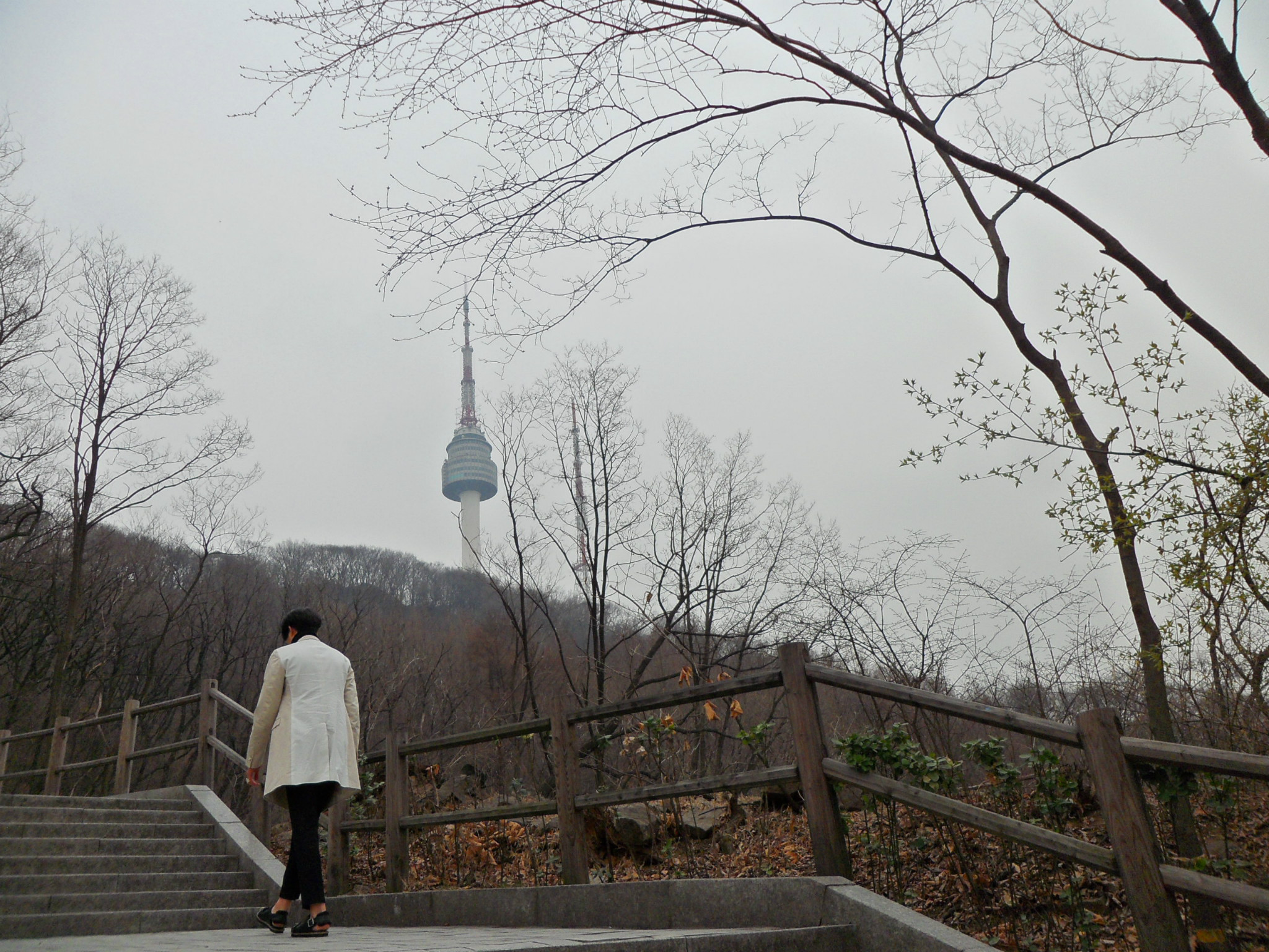 人追星猜成语_追星的人(3)