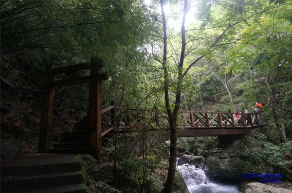 宜春的靖安观音岩原始森林大峡谷区,这里是全国罕见的高浓度负氧离子区,随着一路欢声笑语、3个小时路程的颠簸,我们终于来到了景区,一走进景区就闻到了一股大自然特有的气息,空气中都弥漫着山间的清香,闻着让人神清气爽,远离城市的喧嚣,废弃污染及车水马龙,让我们一起走进这片大自然,去感受下吧