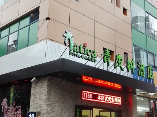 青皮树酒店(上海嘉定安亭地铁站墨玉路店)