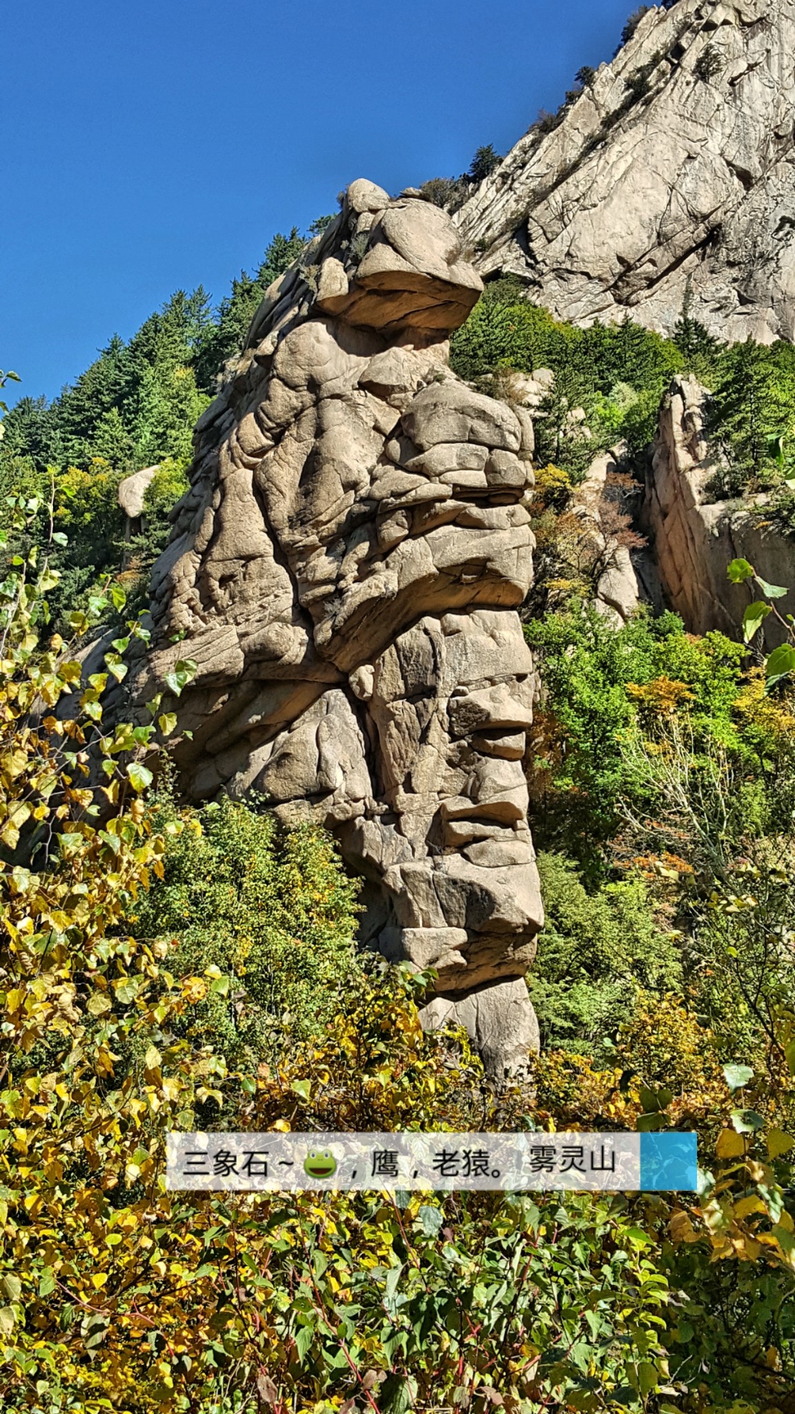 雾灵山森林公园