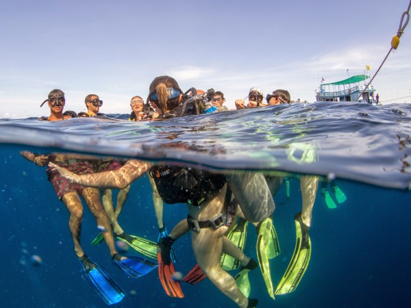 怎么才可以游到水底 wKgBpVVwED2AIkHQAAd_nIH21Kk80.jpeg?imageView2%2F2%2Fw%2F600%2Fh%2F600%2Fq%2F90%7Cimageslim