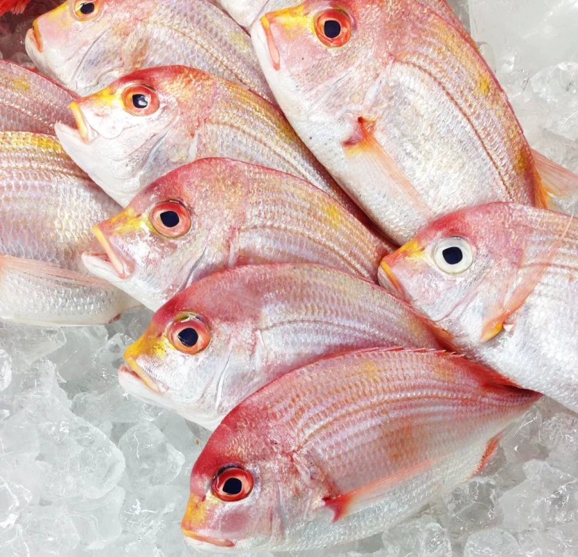 华西村人均收入_人均6000吃什么