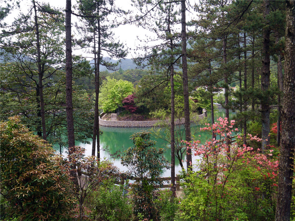 四海山景区         