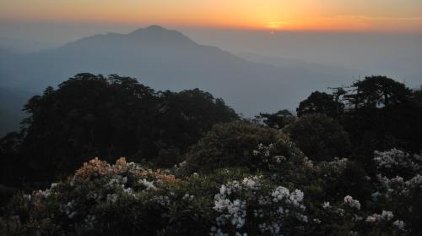 吉安杜鹃山(笔架山)门票