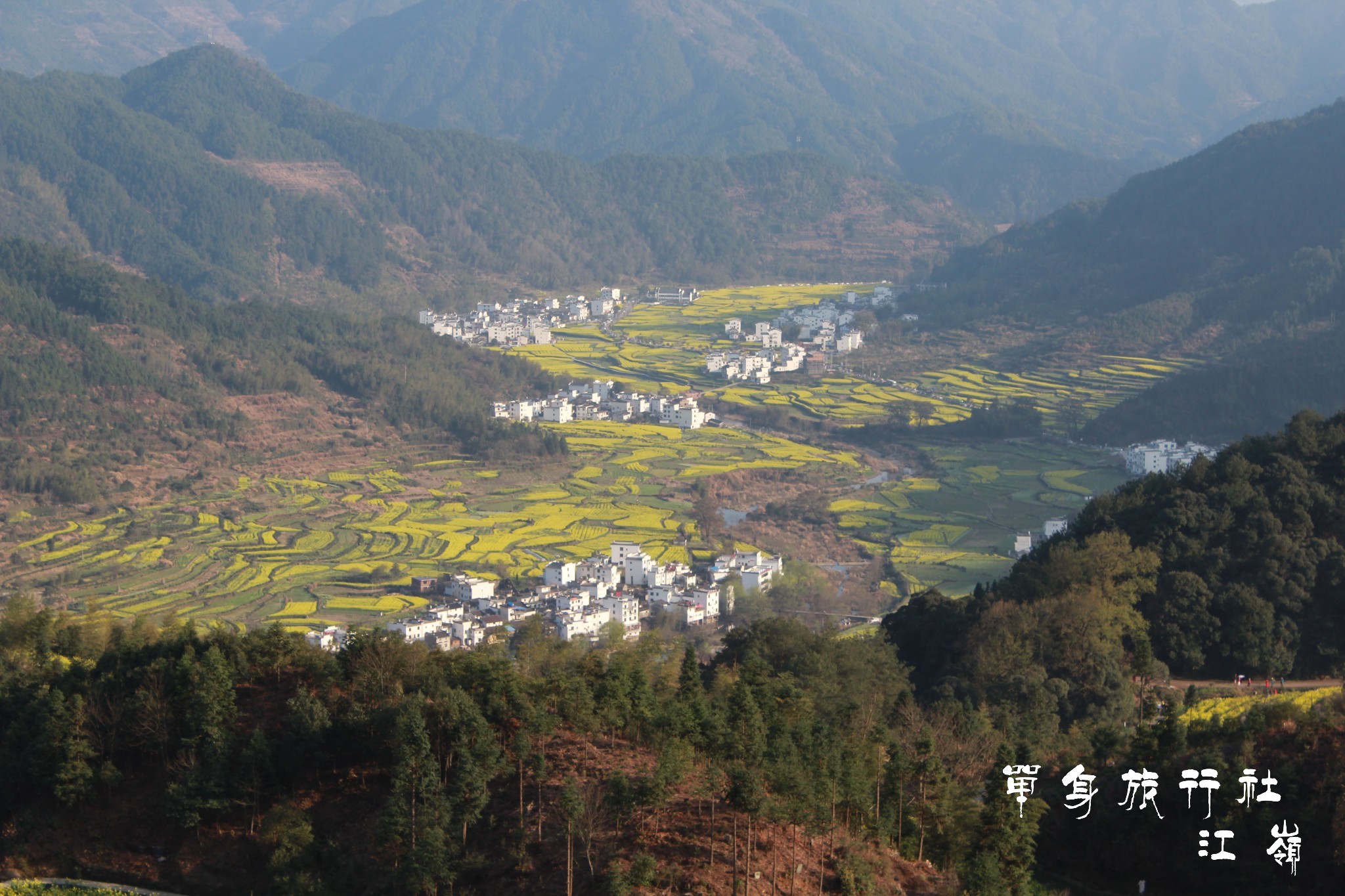 庐山县城有多少人口_8.18庐山(2)