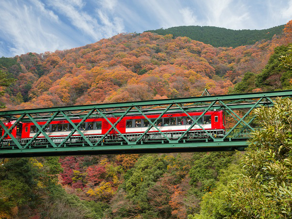 箱根周游券2日3日含东京往返交通