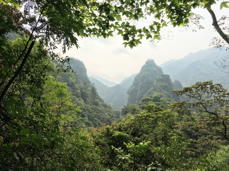 蒙山县景点