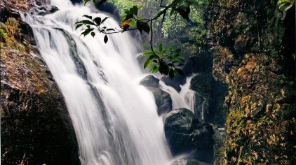 临安东天目山景区门票