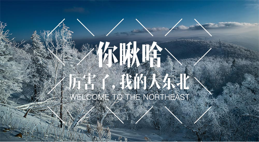 【哈尔滨出发,雪谷 雪乡 亚布力】厉害了,我的大东北!