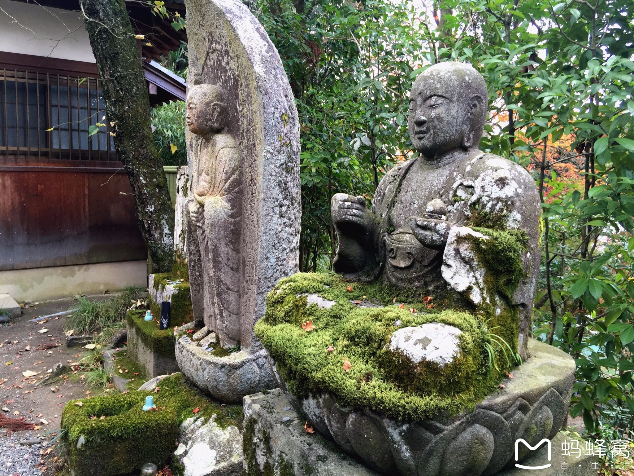 永观堂禅林寺