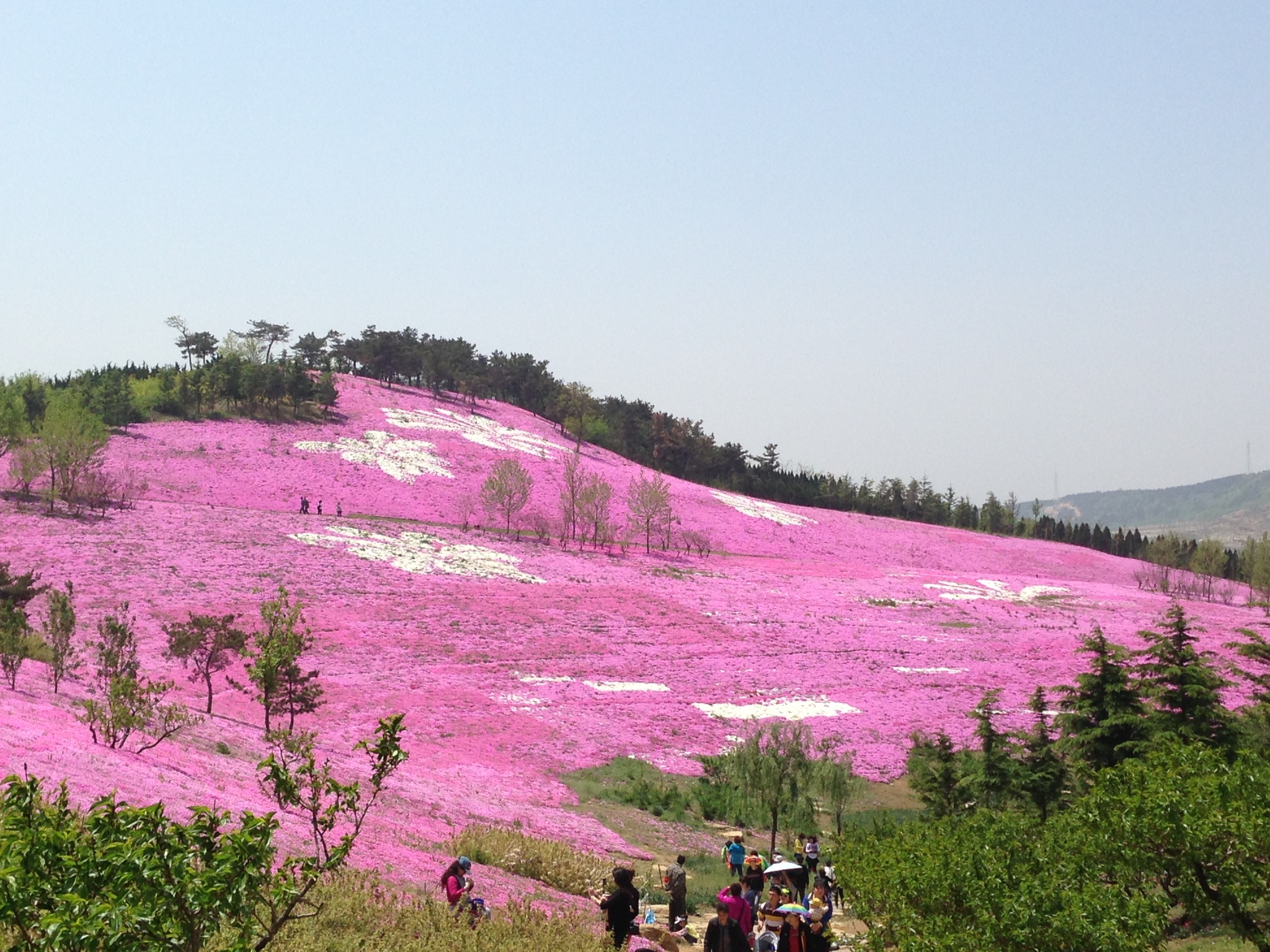 大连英歌石植物园       