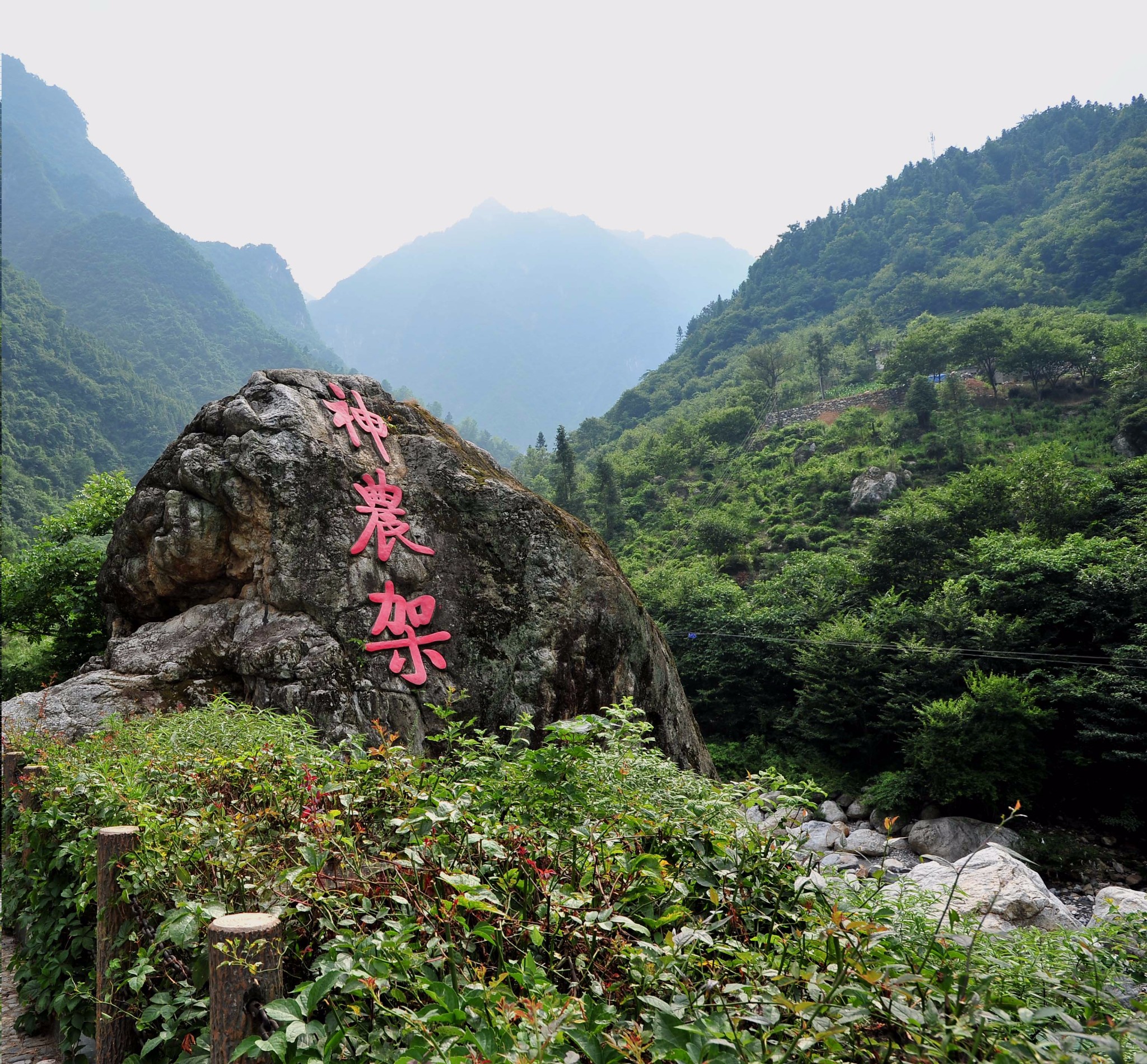 云雾山中——游神农架,神农架旅游攻略 - 马蜂窝