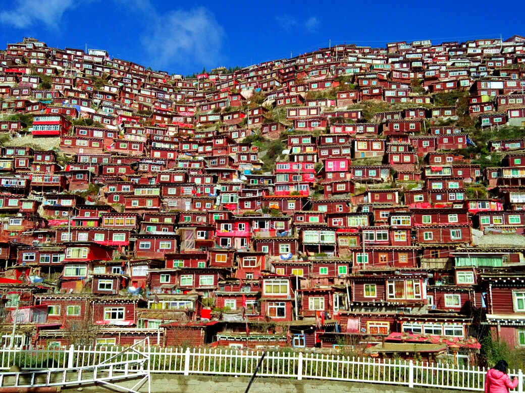 莫斯科人均绿地面积_人均占地面积