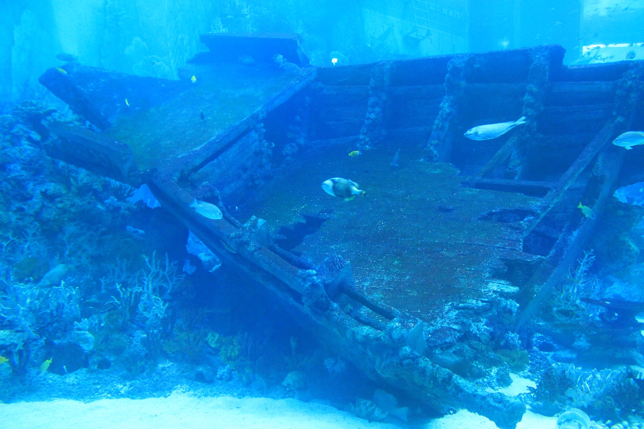 新加坡酒店_新加坡旅游景点_新加坡收入消费