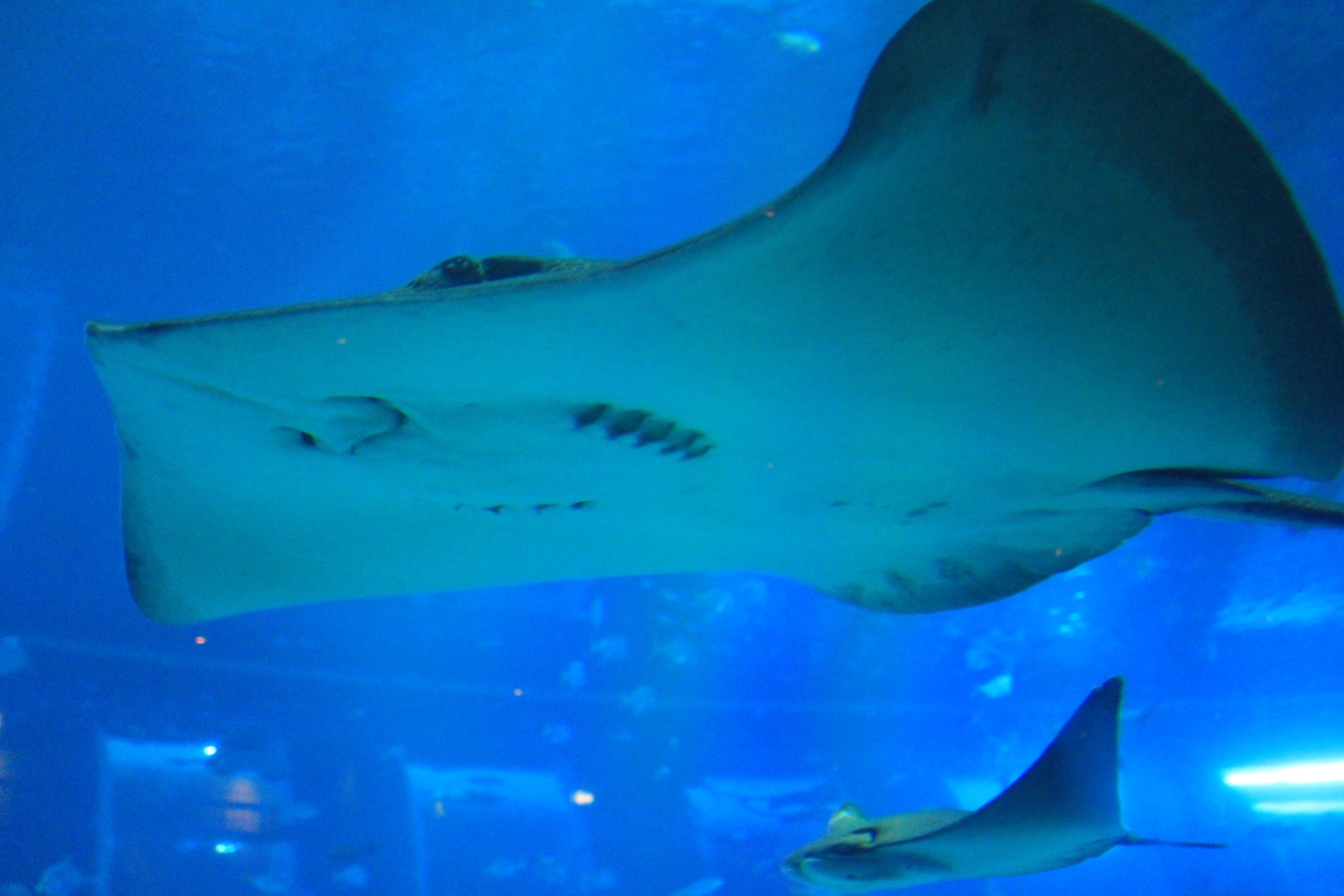 新加坡酒店_新加坡旅游景点_新加坡收入消费