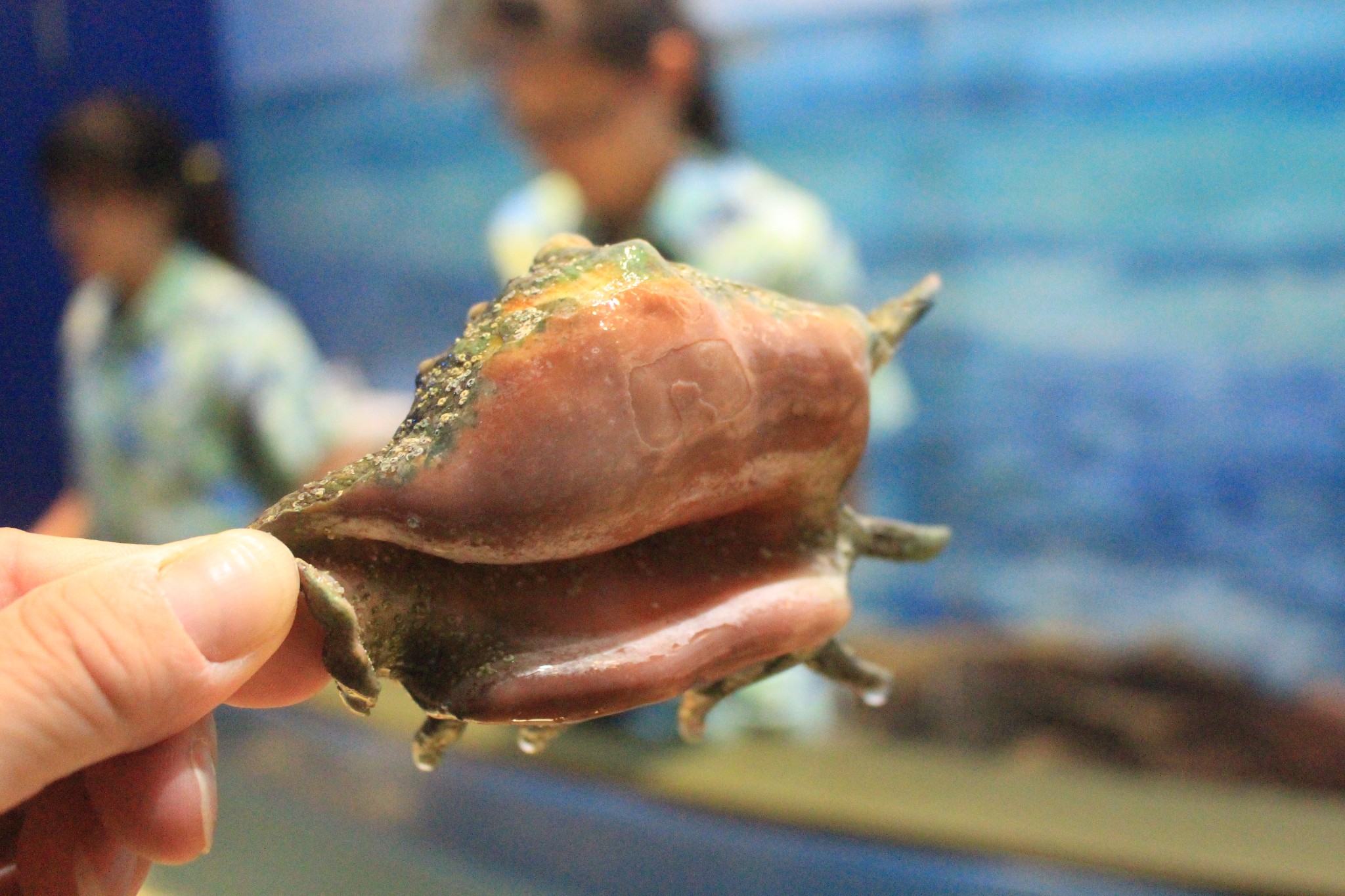 新加坡酒店_新加坡旅游景点_新加坡收入消费