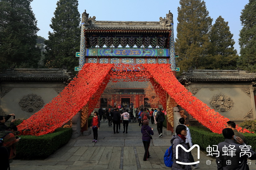 一早出门,到达北京西郊的香山公园东门已九点多,深秋的太阳才穿透霾层