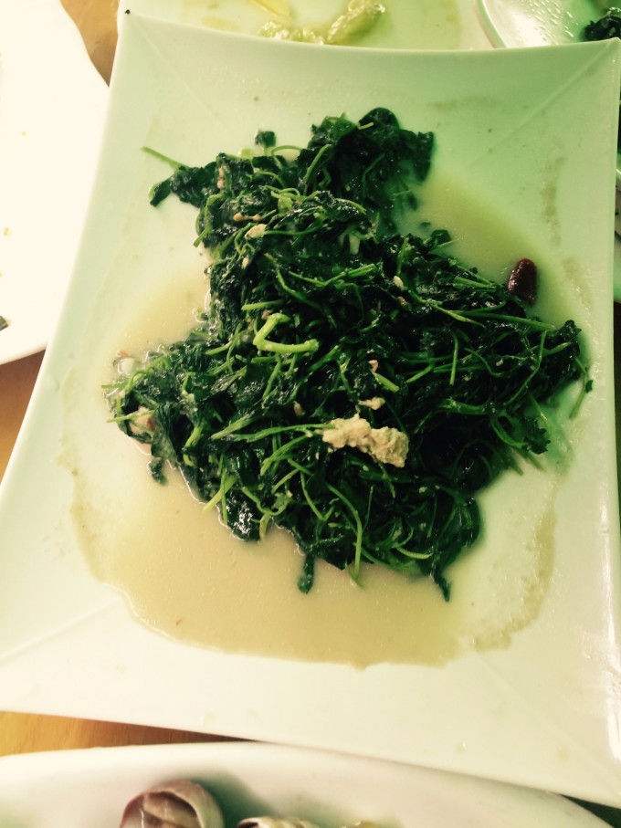 这是一座因东汉时期母慈子孝的传说而得名的一座小城,位于东海,这座悠久的小城蕴藏的历史文化气息,会让你有身临其境的感觉。因东汉时代董黯的母慈子孝传说而得名,越窑青瓷从这里发祥,海上丝绸之路从这里扬帆。慈溪蕴藏着丰富的海涂资源,围垦开发的海涂近10余万亩,是浙江省土地后备资源富足的地区之一。 春夏秋适宜游玩。慈溪属北亚热带季风气候区,气候温和湿润,四季分明,冬季阴冷,不适宜旅游。 慈溪市从1989年开始举办第一届杨梅节,杨梅节以梅为媒、文化助兴、经济结果,不仅成为慈溪市的一大节庆盛典,也吸引着来