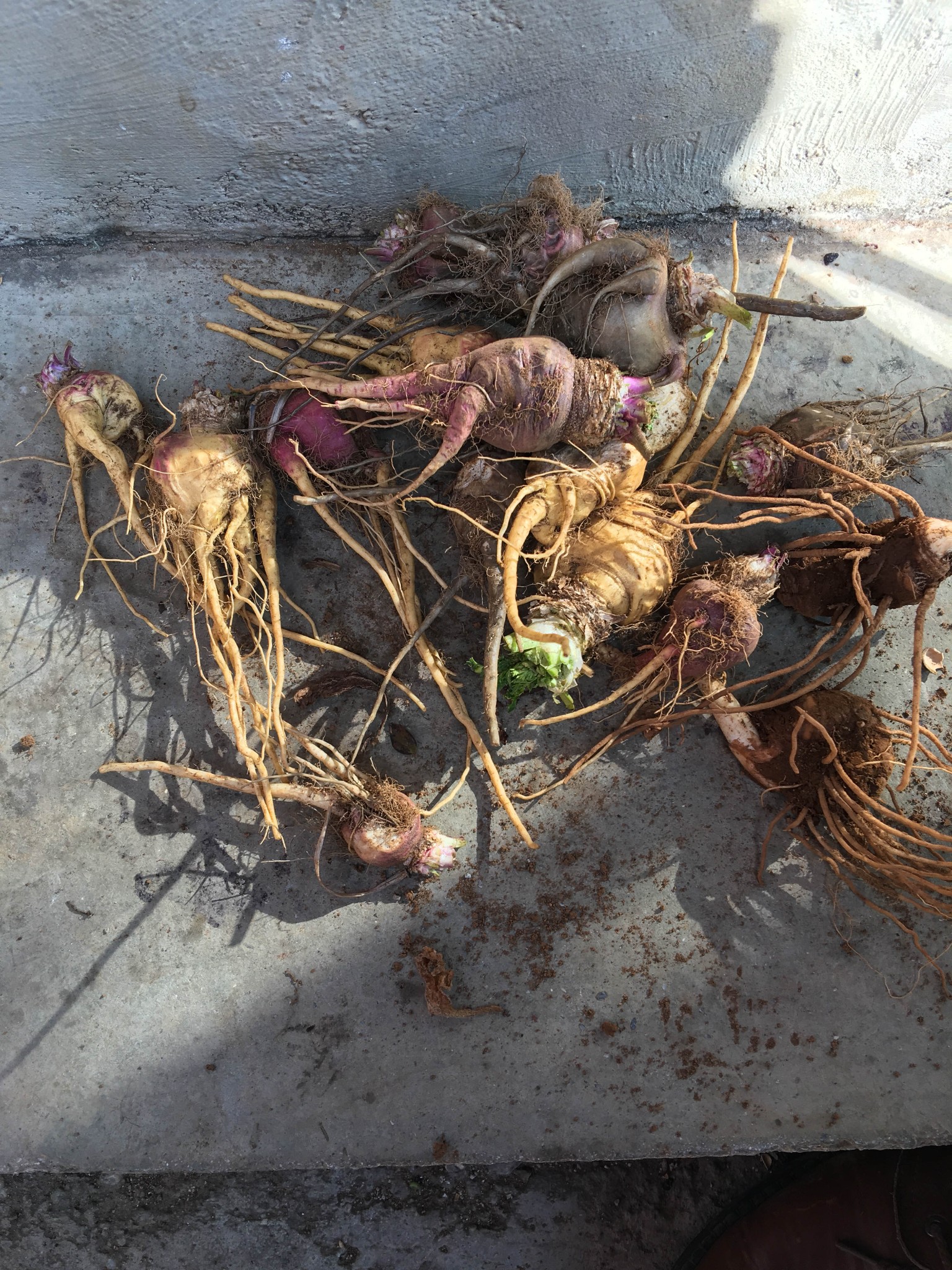 wKgBs1bROzeAQS2cABEVOtdCF4o73.jpeg?imageView2%2F2%2Fw%2F600%2Fh%2F600%2Fq%2F90