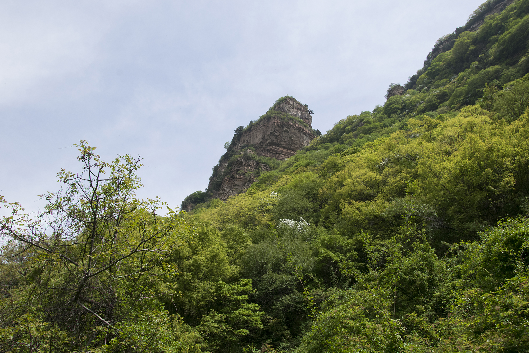 永濟五老峰遊記