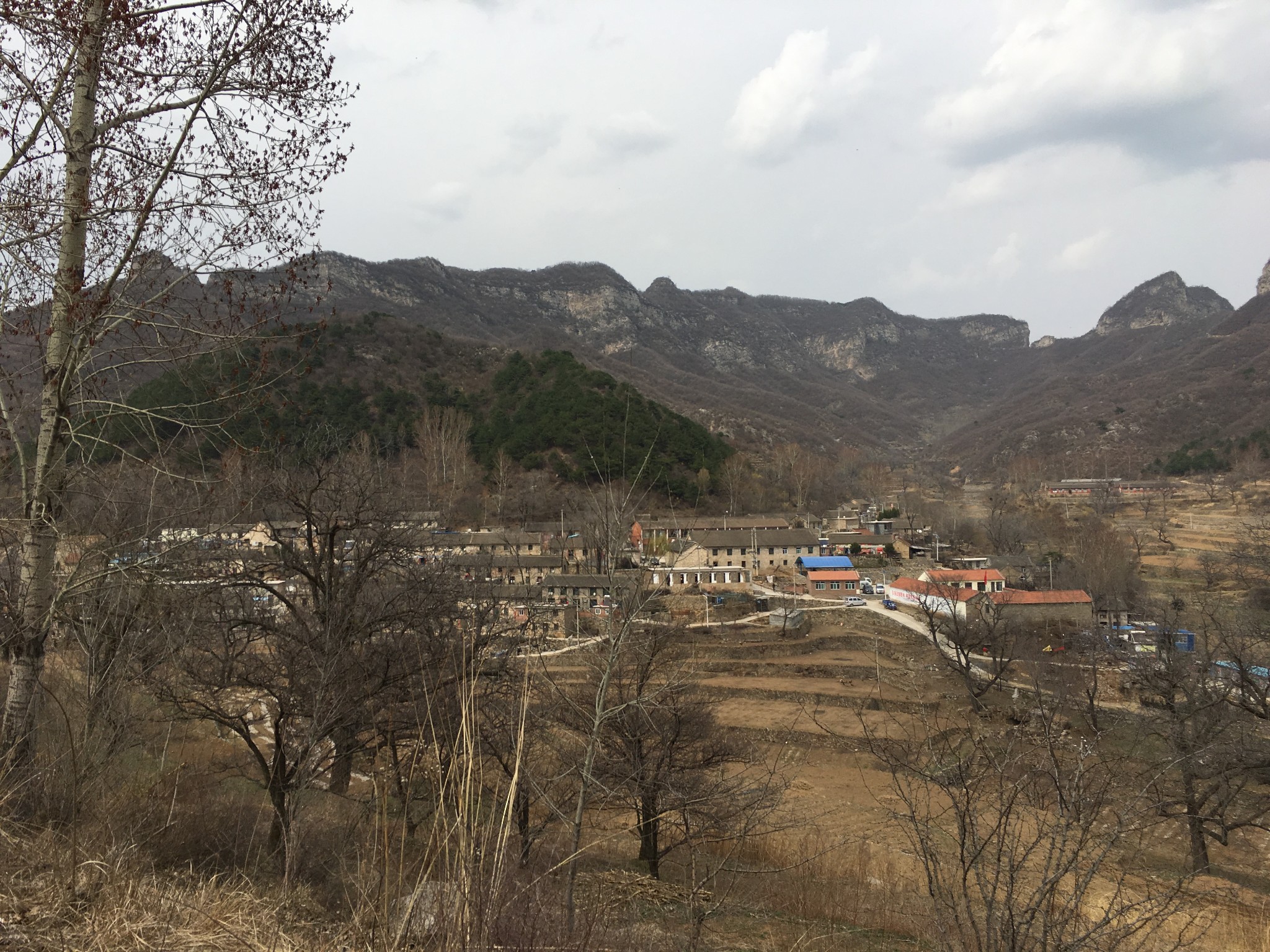 武山县有多少人口_武山县水帘洞图片(3)