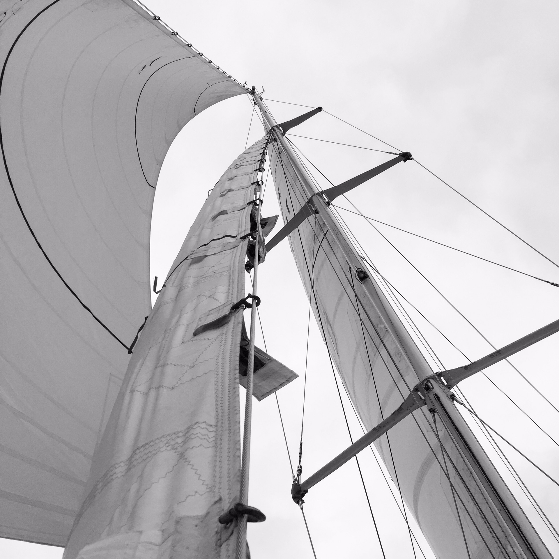 码字中 4周新技能get 克利伯环球帆船赛水手训练记