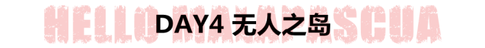 DAY4 无人之岛 DAY4 无人之岛