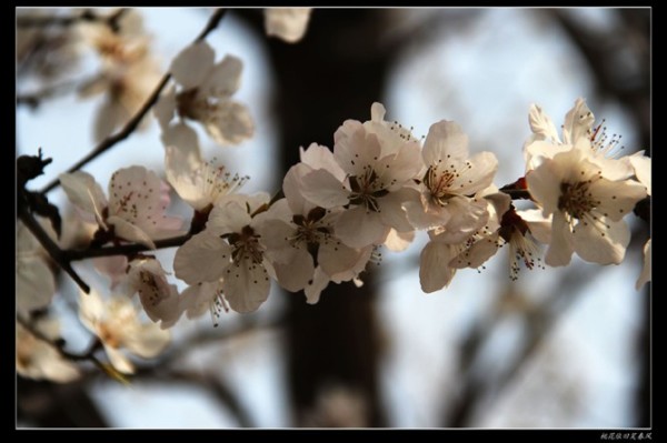 免费算桃花 wKgBt094UG6eo1l5AAD4Hw3COAE65.jpeg?imageView2%2F2%2Fw%2F600%2Fq%2F90