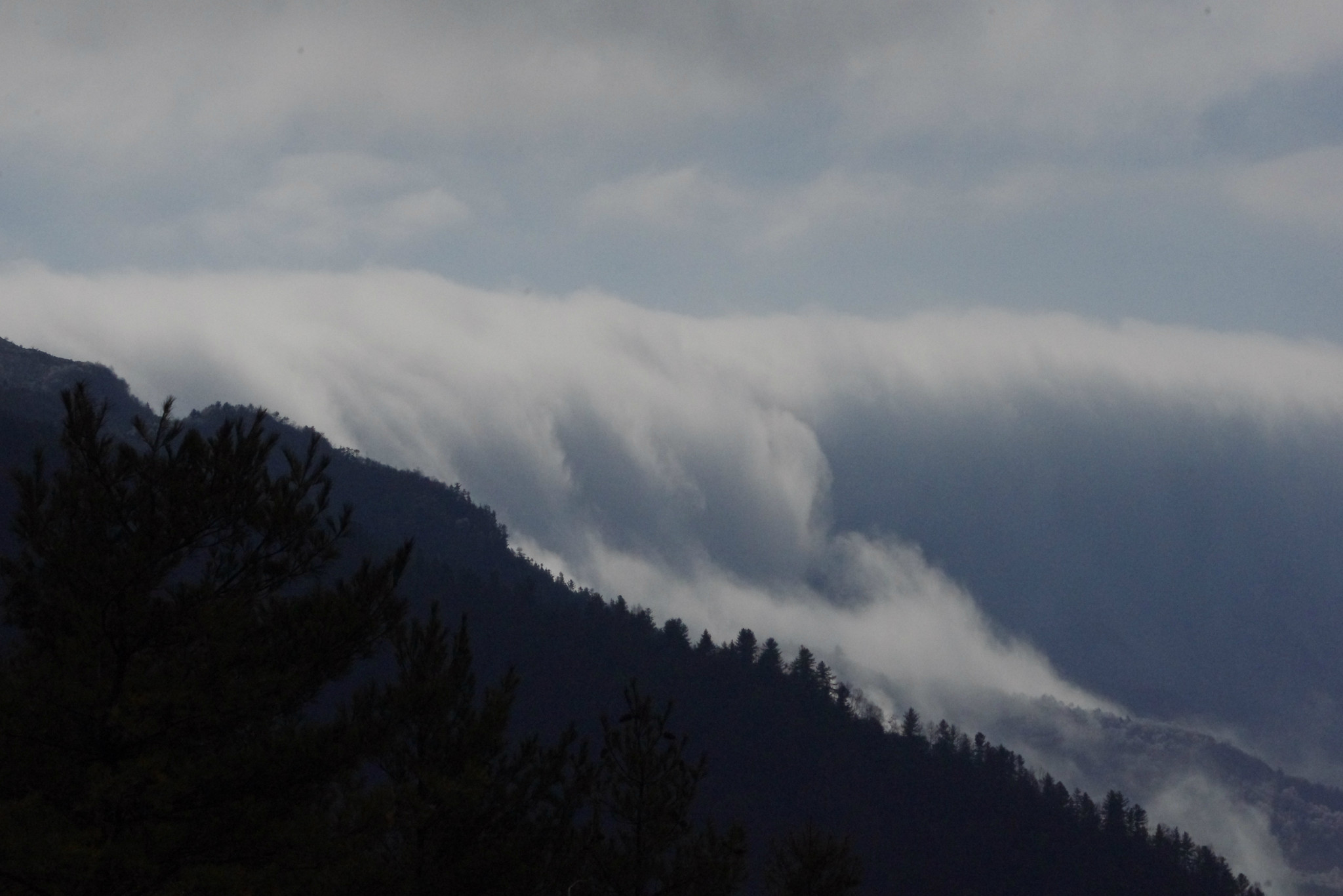 wKgB3FC7fbuAAV1IAAU11-MGyvQ48.jpeg?imageView2%2F2%2Fw%2F600%2Fq%2F90