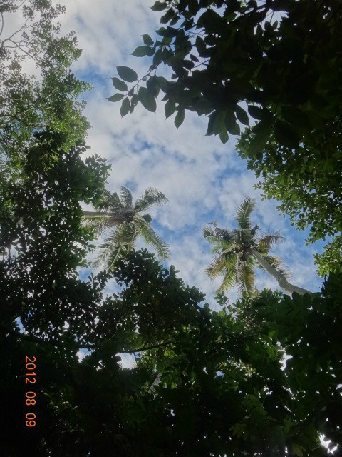 wKgB3FF7QYeASTHoAASPYJuPpWA25.jpeg?imageView2%2F2%2Fw%2F600%2Fq%2F90