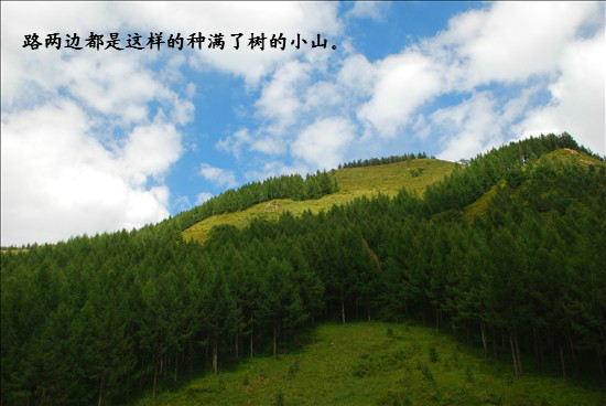 塞罕坝国家森林公园游玩路线 wKgB3FCp5JKAdrALAALXjni6XKE40.jpeg?imageView2%2F2%2Fw%2F600%2Fq%2F90