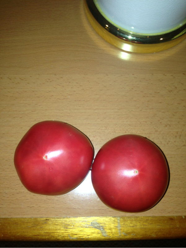 记日本六天五夜跟团游-日本是个好地方有山有