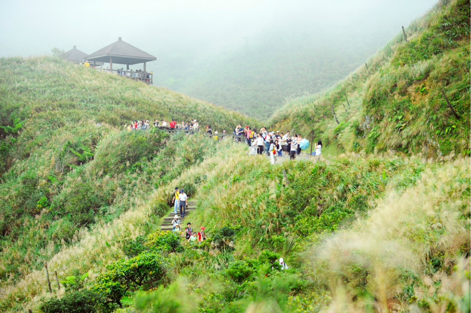 水边木栈道怎么搭_农村水边栈道景观(2)