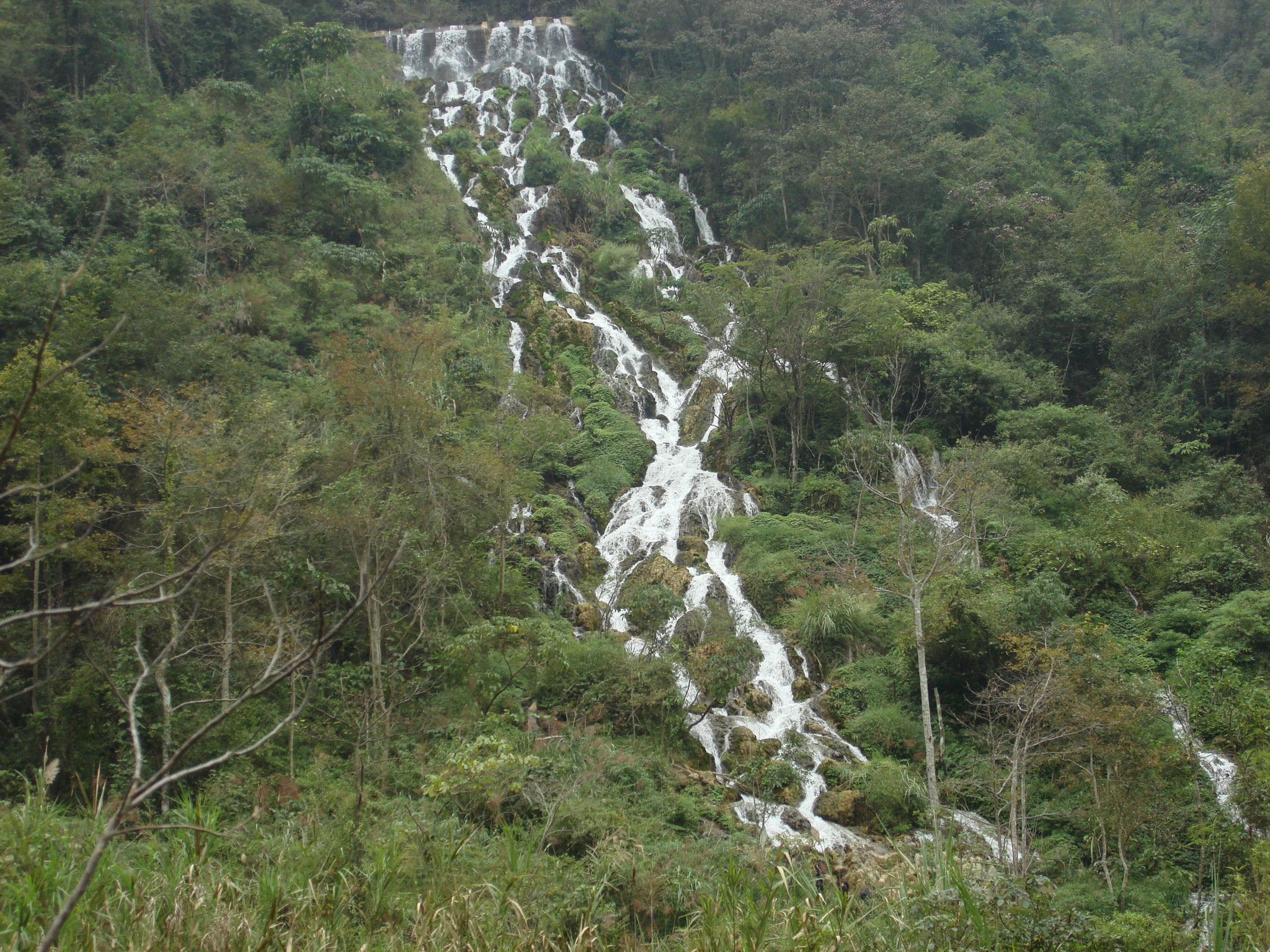 响水河常住人口_常住人口登记表(2)