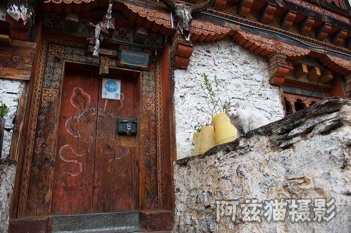 不丹有多少人口和面积_不丹有什么动物(3)