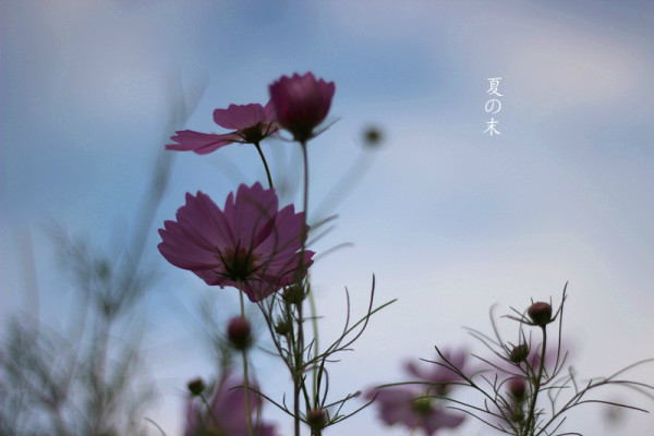 一个人失忆简谱_一个人失忆薛凯琪一个人失忆 一个人失忆薛凯琪一个人失忆简谱 一个人失忆薛凯琪一个人失忆吉他谱 钢琴谱 查字典简谱网